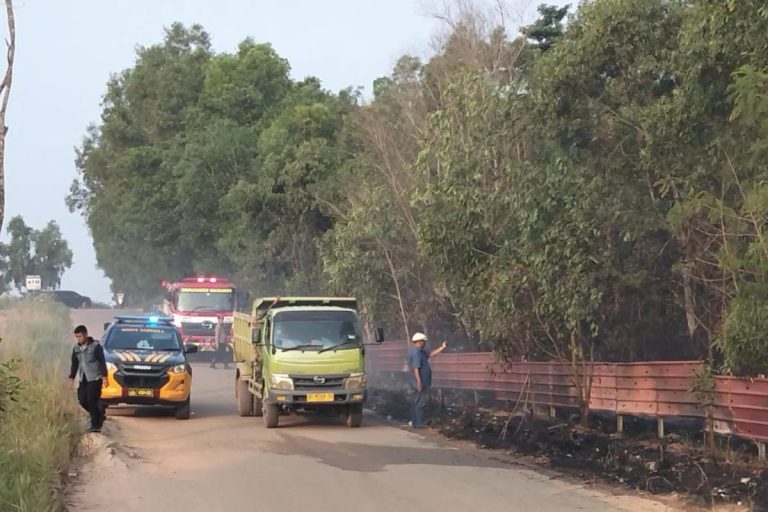 Satu Jam Dipadamkan, Kebakaran Hanguskan 700 Meter Persegi Lahan di Nongsa