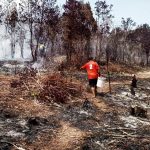 12 Hektare Hutan Hangus di Lingga, Tim Gabungan Turun Tangan