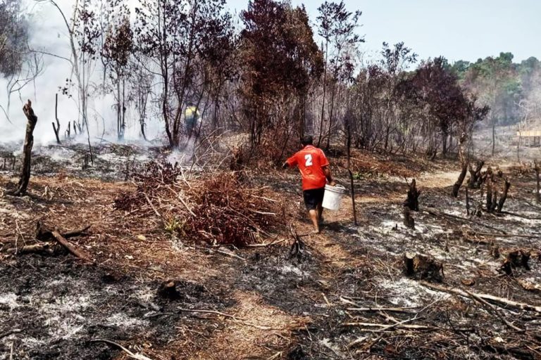 Kebakaran menghanguskan sekitar 12 hektare kawasan hutan di Lingga Kepri. Tim gabungan turun tangan untuk menangani dan memadamkan api