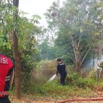Kobaran Api Mengancam Jalan Sambau, Polsek Nongsa Bergerak Cepat Cegah Api Meluas